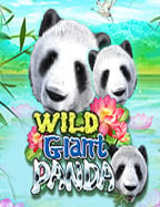 ทดลองเล่นฟรี sbobet เล่นฟรีจะเริ่มต้นอย่างไรดี